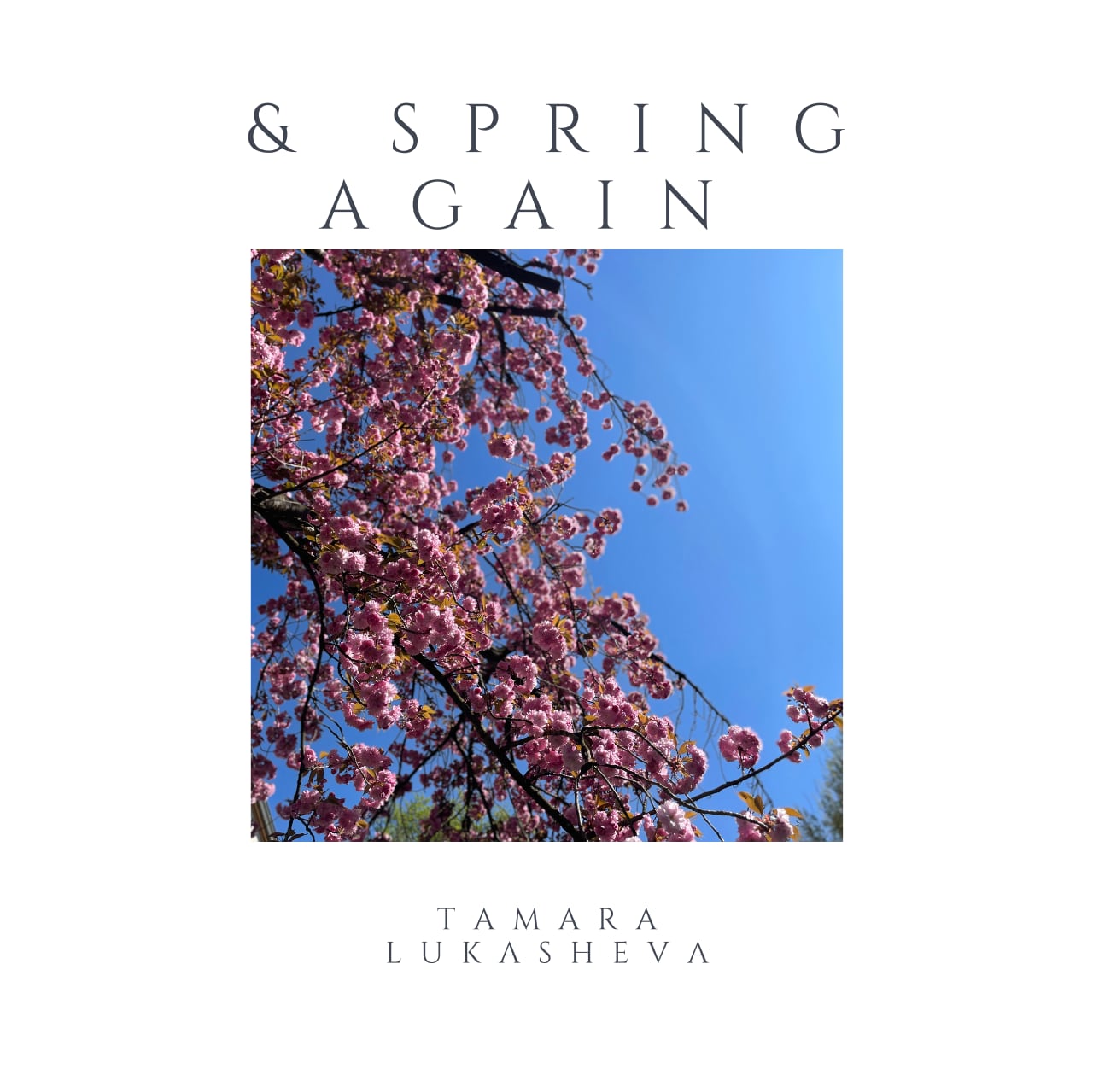 seasons_spring-again