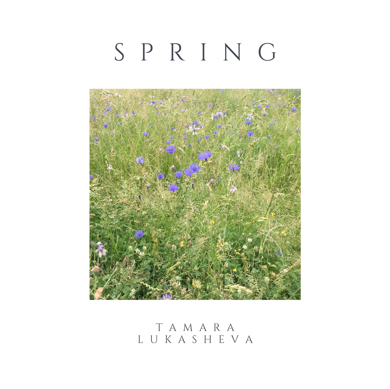 seasons_spring
